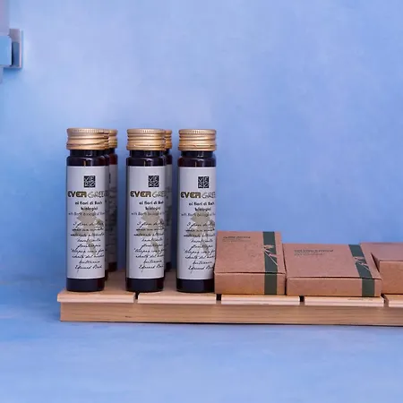 Vila Anemi House & *