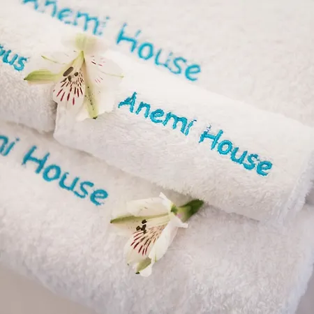 Villa Anemi House &