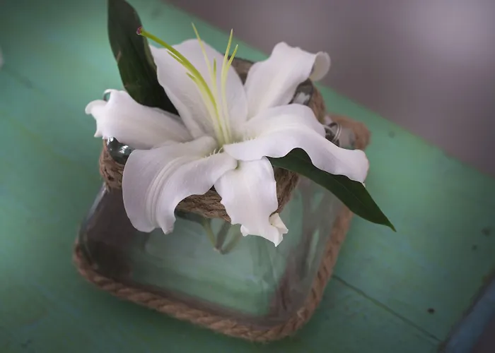 아네미 하우스&빌라 이아