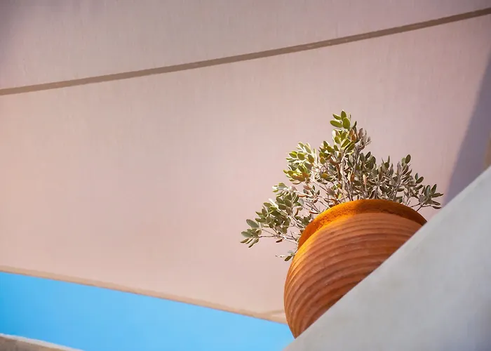 빌라 아네미 하우스&빌라 *