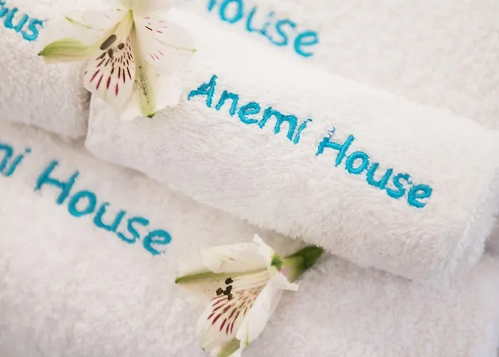 Anemi House & Willa *